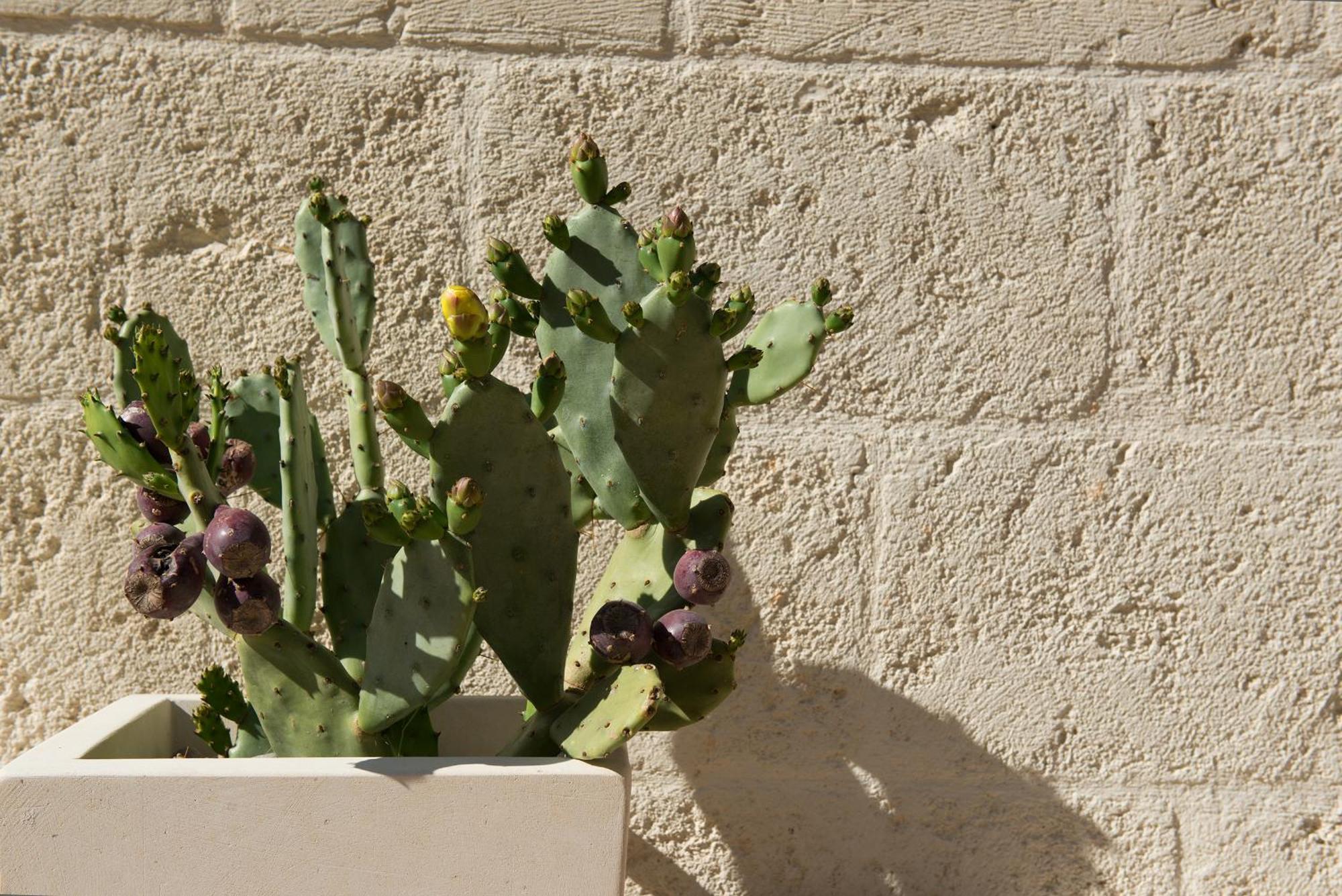 Antica Via Roma B&B E RELAX Montalbano (Apulia) Exterior foto
